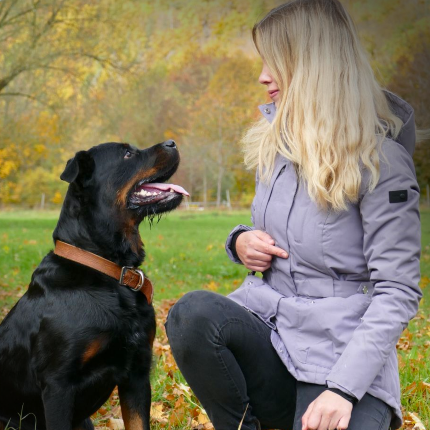 TIERTHERAPIE FRIEBE Frau kniet neben einem Rottweiler in einer herbstlichen Landschaft.
