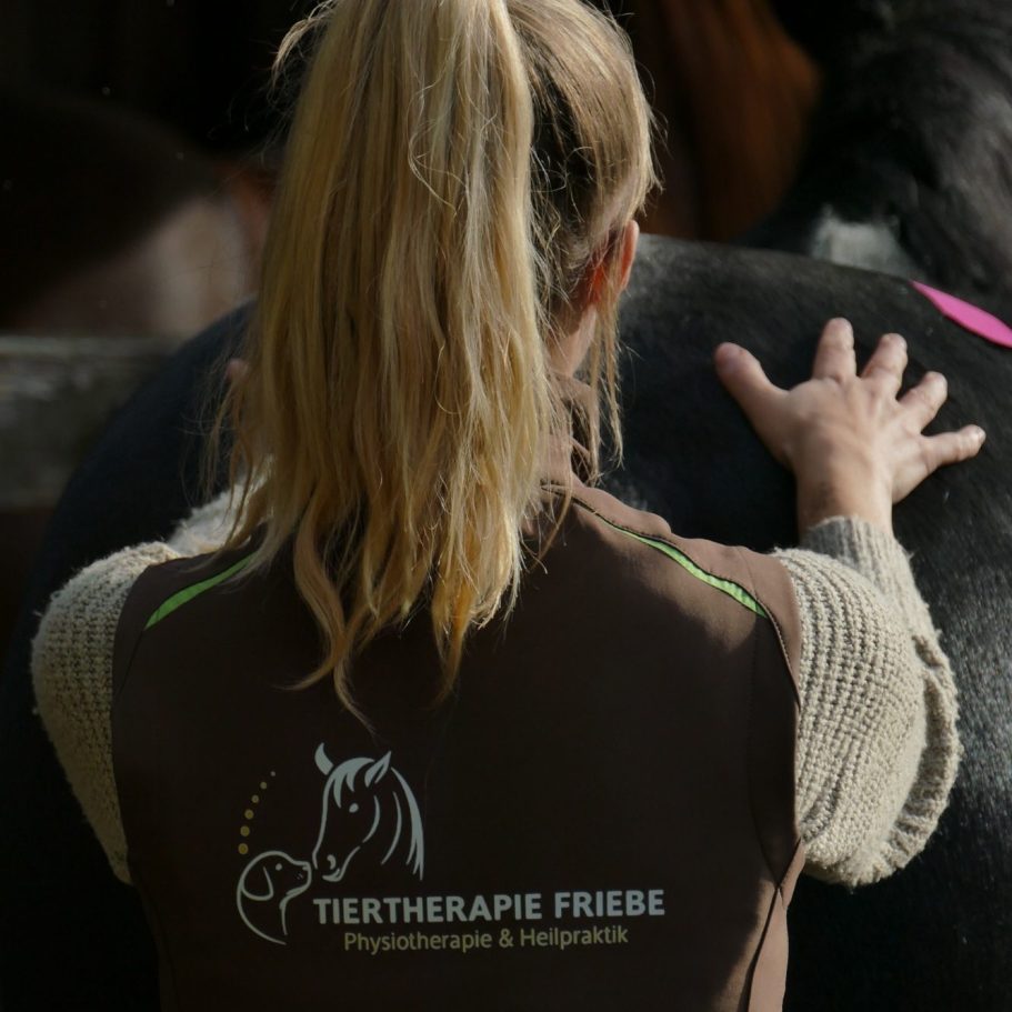 Behandlung vor Ort Eine Frau streichelt die Seite eines Pferdes, trägt ein braunes Shirt mit Logo.